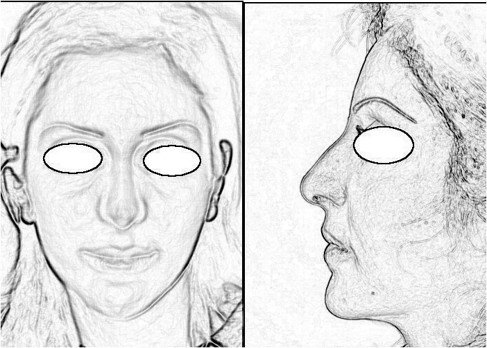 Nose / Face / Eyes